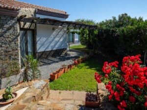 33_house_road_cachopo-8.jpg